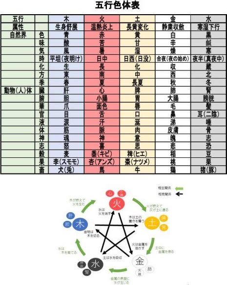 動物五行